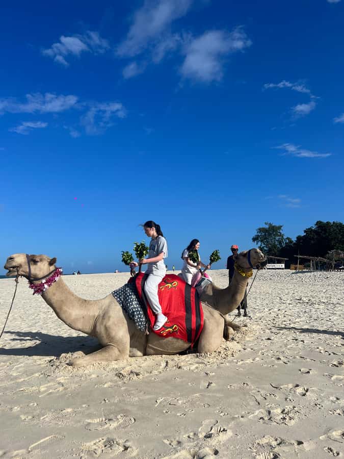 DIANI: BEACH CAMEL RIDE - Key things you will notice right away