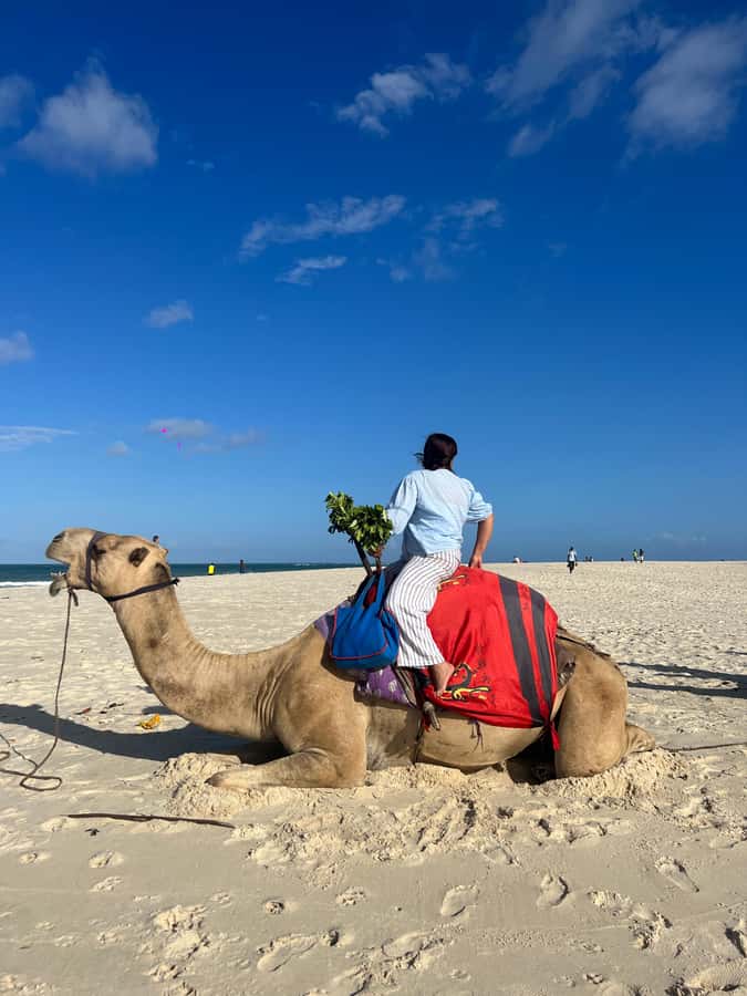 DIANI: BEACH CAMEL RIDE - The 30-minute camel ride, what it actually feels like
