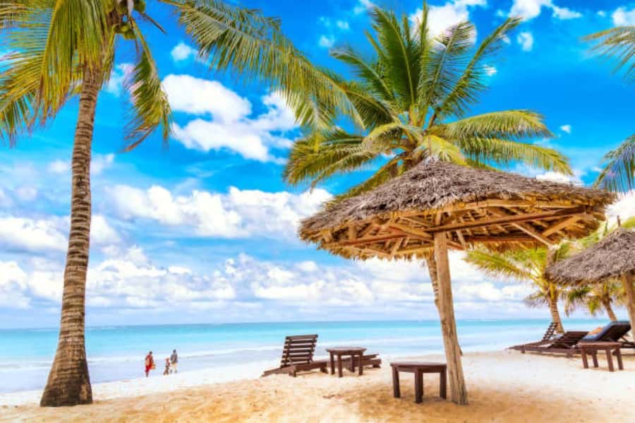Diani Beach: Funzi Island Day Trip with Lunch - Funzi Island From Diani Beach: What Makes This Day Trip Special