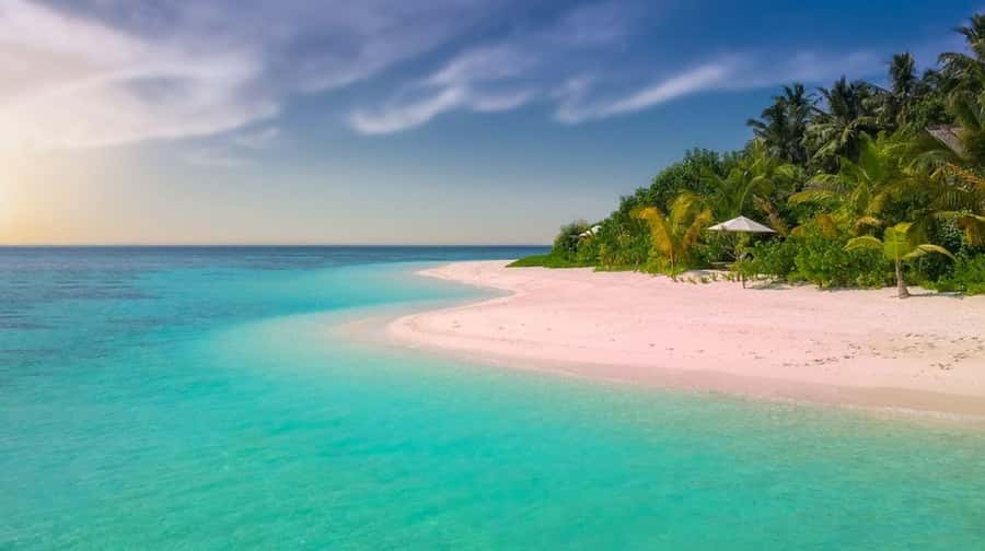 Diani Beach: Funzi Island Day Trip with Lunch - The Ramisi River Canoe Ride: Wildlife Chances and Comfort Reality