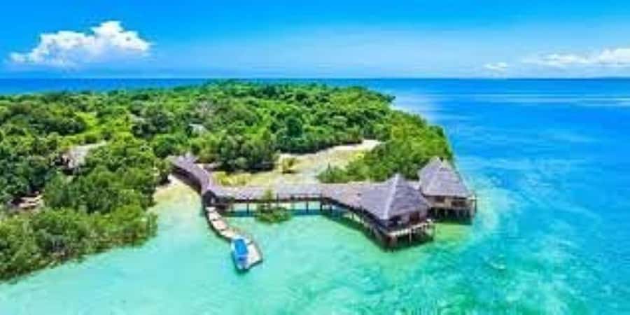 Diani Beach: Funzi Island Day Trip with Lunch - Guided Village Walk on Funzi: Culture Lessons You Can Actually Use