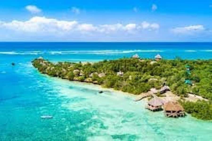 Diani Beach: Funzi Island Day Trip with Lunch - 7:30 AM Pickup to Bodo: Sugarcane Fields and the Ramisi Factory Road