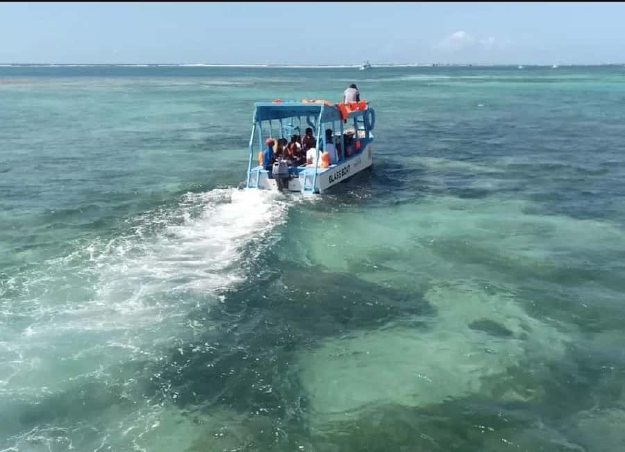Diani Beach: Glass Boat Cruise to Robinson Island - On the glass boat: what you actually see under the Indian Ocean