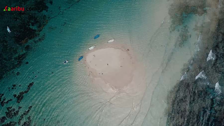 Diani Beach: Glass-Bottom Boat Cruise to Robinson Island - Should you book this Diani Beach glass-bottom cruise to Robinson Island?