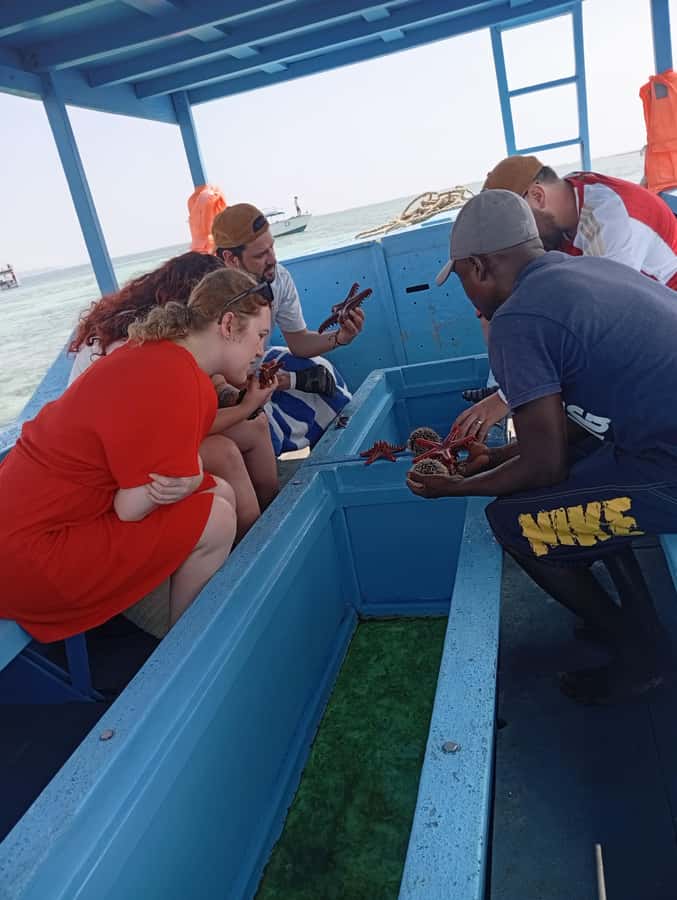 Diani Beach: Glass-Bottom Boat Cruise to Robinson Island - The Robinson Island sandbank, low tide timing, and why calm water matters