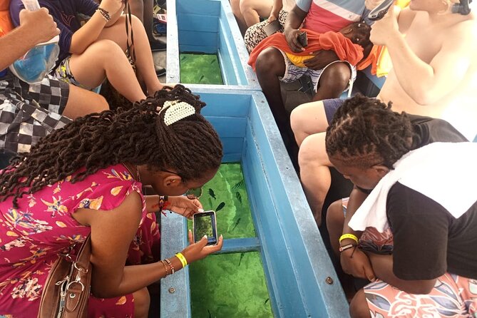 Diani Beach: Glass-bottom Boat Ride with Underwater Show - Quick highlights