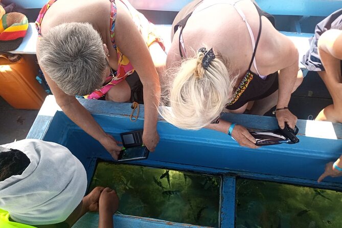 Diani Beach: Glass-bottom Boat Ride with Underwater Show - Why this Diani glass-bottom boat show feels different from a normal tour