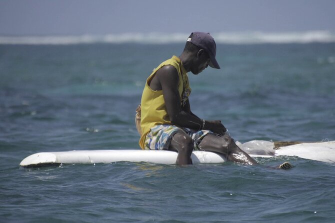 Diani Beach: Glass-bottom Boat Ride with Underwater Show - Rooftop views on the upper compartment: photos, sun, and timing