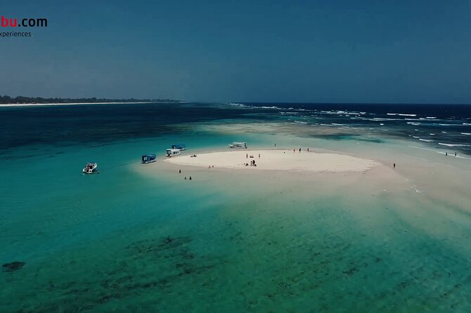 Diani Beach: Glass-bottom Boat Ride with Underwater Show - The sandbank stop: snorkeling time, lounge options, and celebrating on the beach