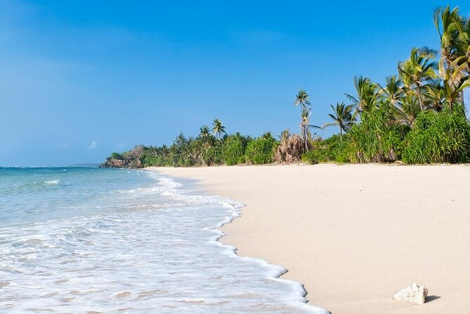 Diani Beach: Glass-bottom Boat Ride with Underwater Show - What to bring so the trip stays comfortable