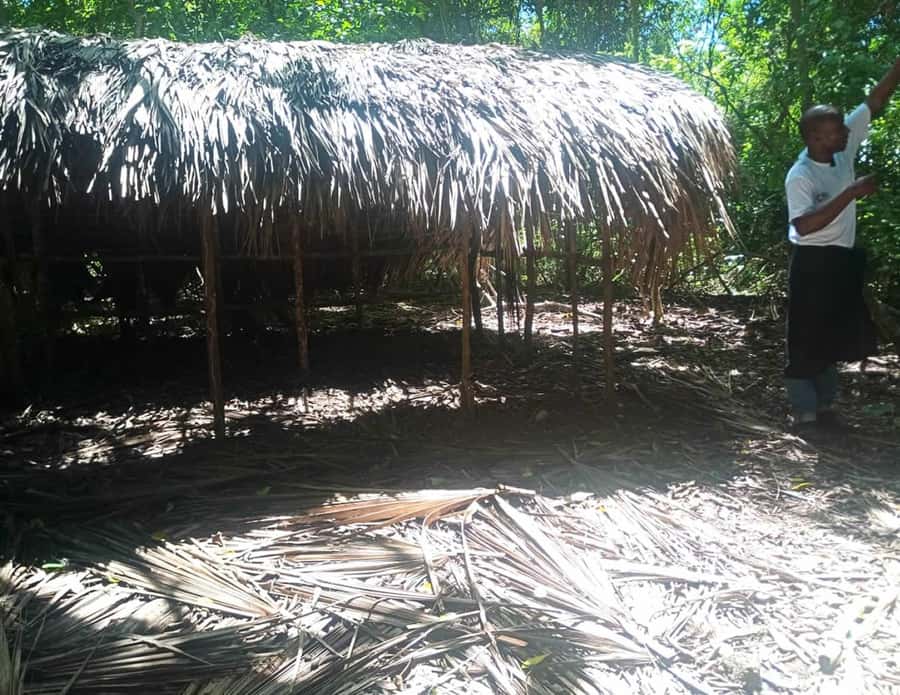 Diani Beach: Kaya Kinondo cultural and nature experience - FAQ