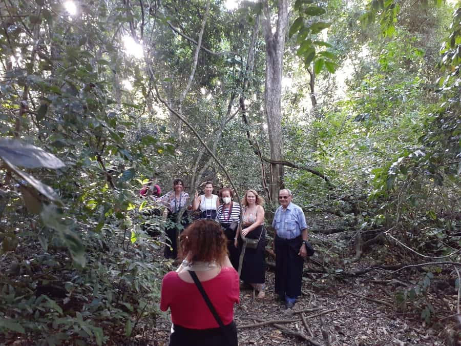 Diani Beach: Kaya Kinondo cultural and nature experience - Price and Logistics: Is $42 Good Value for a 4 Hour Tour?