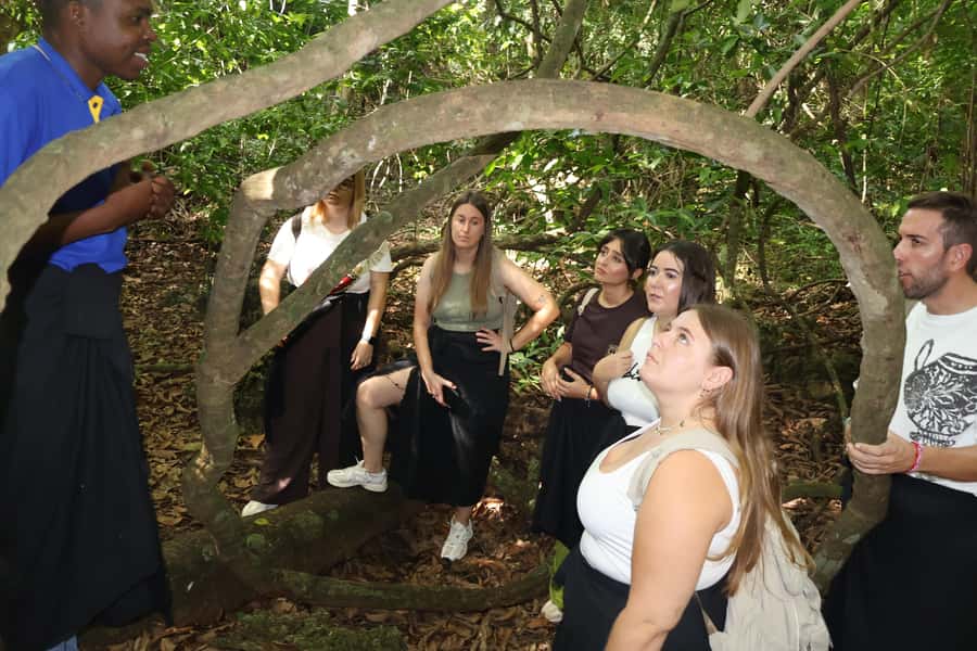 Diani Beach: Kaya Kinondo cultural and nature experience - Who Should Book This Tour, and Who Should Skip It