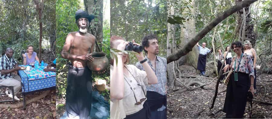 Diani Beach: Kaya Kinondo cultural and nature experience - Should You Book the Kaya Kinondo Cultural and Nature Experience?