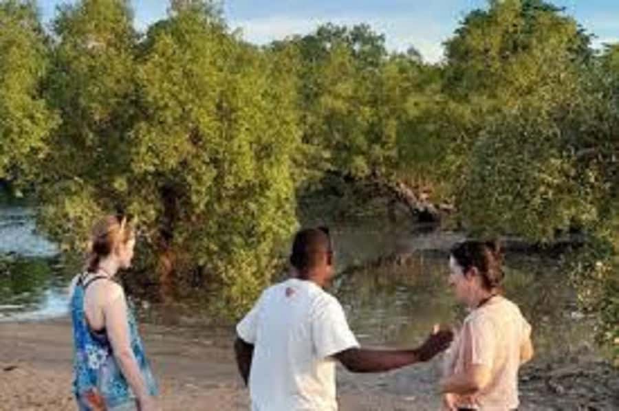 Diani Beach: Kongo River Estuary Sundowner Boat Tour - Canoe Time on the Estuary: Mangroves, Birds, and Quiet Water