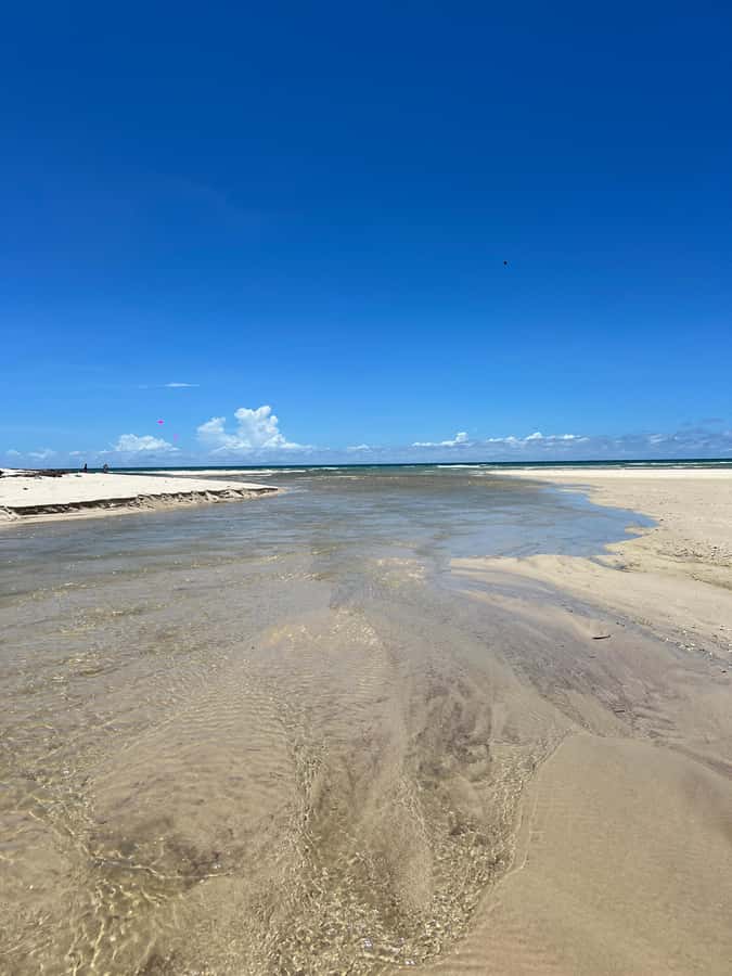 Diani Beach: Private African Pool Map Guided Tour - Kongo Mosque start and the quiet river crossing