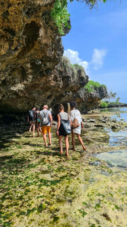 Diani Beach: Private African Pool Map Guided Tour - Guides make the difference, from Mohammed to Sudi
