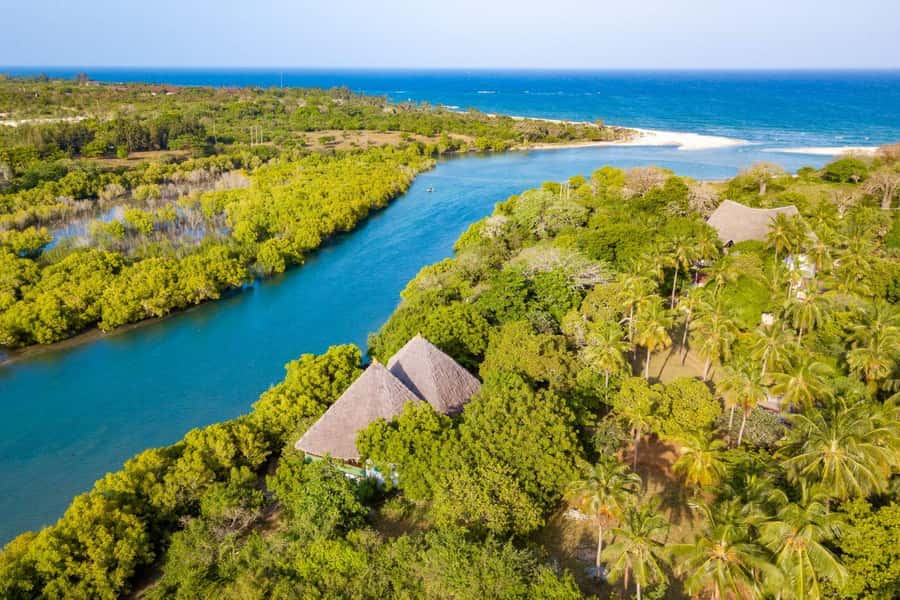 Diani Beach: Sunset Dhow Cruise with Dinner - The two hour river sail: mangroves, breezes, and golden light