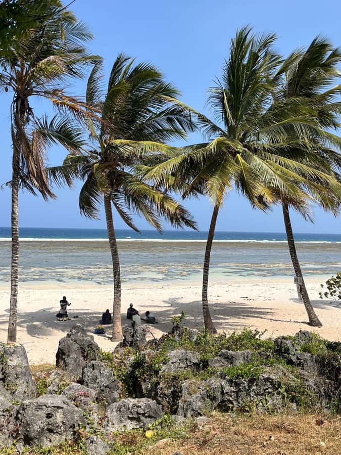 Diani: Full day Guided tour in Tiwi beach & Diani - From Diani to Tiwi: The Day Starts With Tuk-Tuk, Foot Crossing, and Motorbike