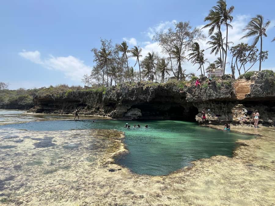 Diani: Full day Guided tour in Tiwi beach & Diani - Tiwi Beach Reefwalk: How You Get Close to Marine Life Safely