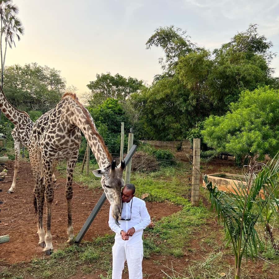 DIANI: SHARE A MEAL WITH GIRAFFES - The 4 pm Diani pickup and how the timing really feels