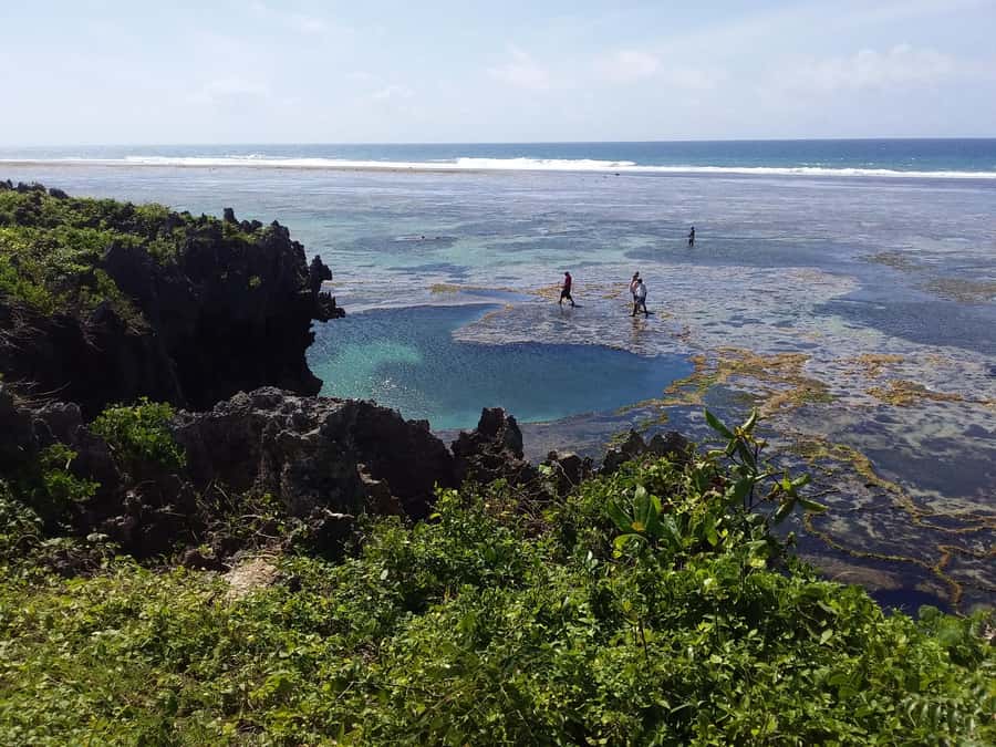Diani: Snorkeling and Swimming at African Pool in Tiwi Beach - Gear check: reef shoes, mask, and floaters that make snorkeling easier