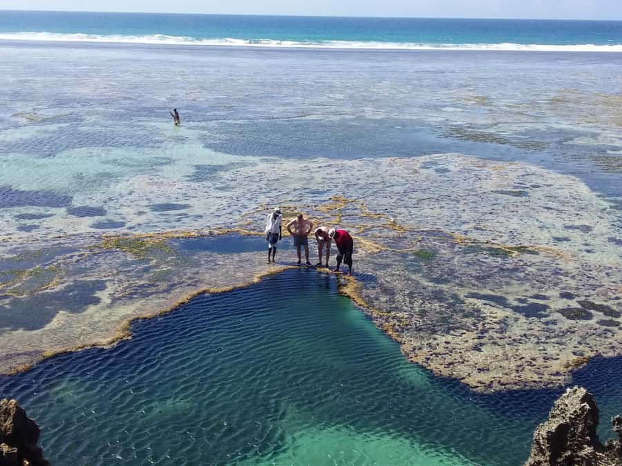 Diani: Snorkeling and Swimming at African Pool in Tiwi Beach - Reefwalking and sea exploration before the main swim