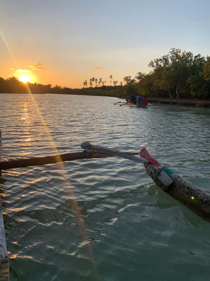 Diani: Sunset Canoe Tour along the River with Mangroves - Kongo River Meets the Sea: Why Diani Mangroves Feel Different at Sunset