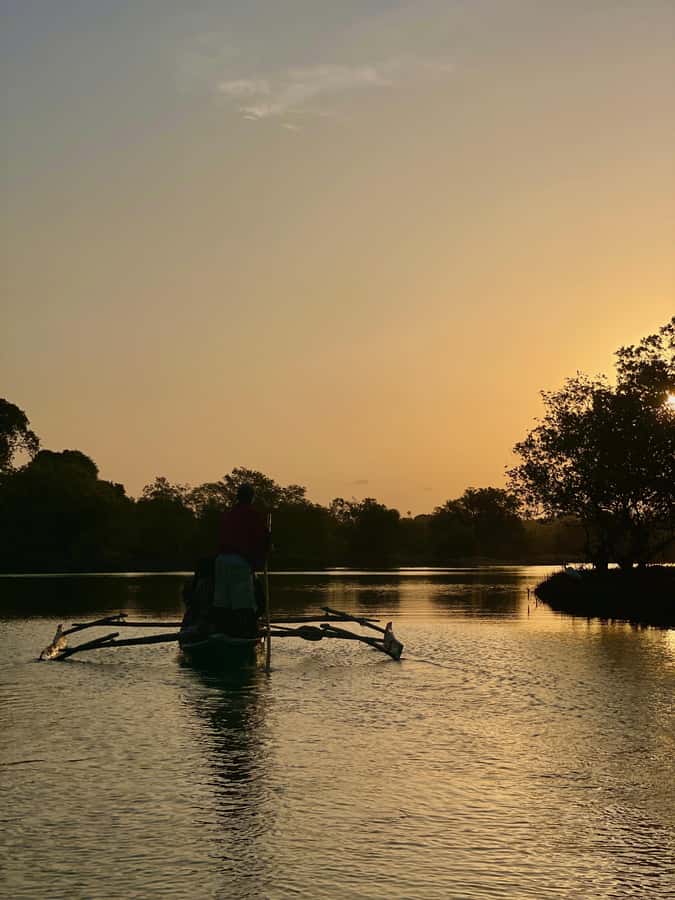 Diani: Sunset Canoe Tour along the River with Mangroves - What You Actually See in the Mangrove Creeks