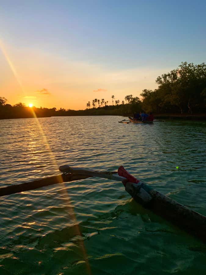 Diani: Sunset Canoe Tour along the River with Mangroves - The Sunset Moment: How the Colors Work Over the Creeks