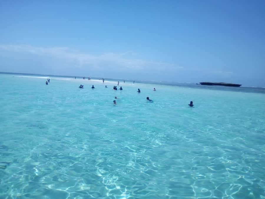 Diani: Wasini Island Dolphin Watching and Snorkeling Tour - Getting on the Arabic Dhow: Diani Pickup and Dolphin Watching