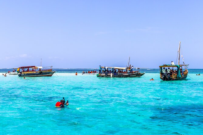 Dolphin Watch & Snorkeling at Kisite Marine Park & Wasini Island - Quick hits before you go