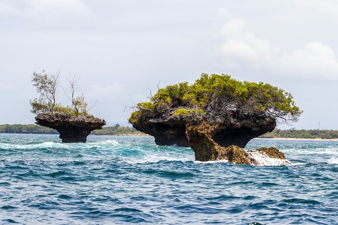 Dolphin Watch & Snorkeling at Kisite Marine Park & Wasini Island - Price and value check: what $100 includes, and what you may still pay