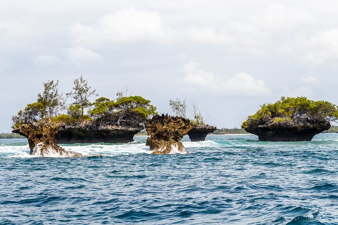 Dolphin Watch & Snorkeling at Kisite Marine Park & Wasini Island - Reliability, service quality, and avoiding common headaches
