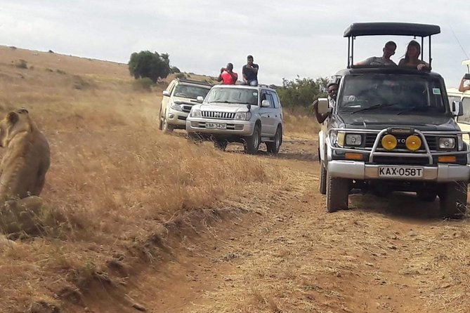 Early Morning Group Joining Mini Safari To Nairobi National Park - What you can realistically spot, from the Big Five to everyday wildlife