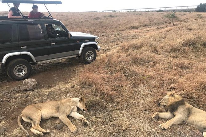 Early Morning Group Joining Mini Safari To Nairobi National Park - The 4 to 6 hour schedule, and how to pace your expectations