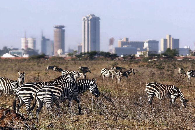 Early Morning Half Day Group Tour to Nairobi National Park - Price and What You’re Really Paying For