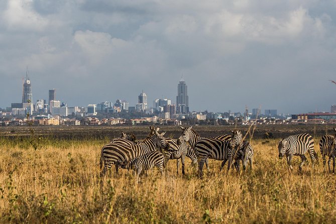 Early Nairobi Park Giraffe Centre and Optional Elephant Orphanage - Entering Nairobi National Park at dawn: the real reason this tour works