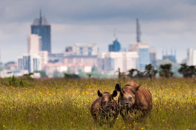 Early Nairobi Park Giraffe Centre and Optional Elephant Orphanage - Optional elephant orphanage: how the slot limit affects your plan