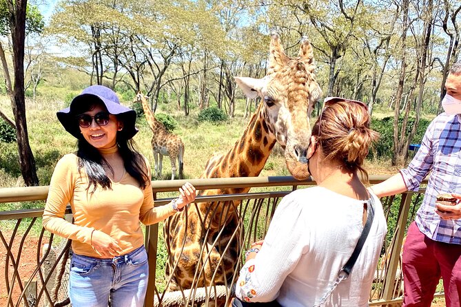 Elephant Orphanage and Giraffe Center Nairobi Day Tour - Stop 1: David Sheldrick Elephant Orphanage, and why the one-hour window matters