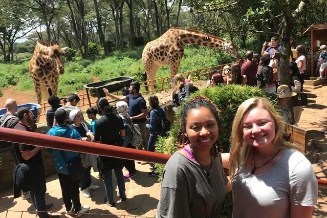 Elephant Orphanage and Giraffe Center Nairobi Day Tour - Stop 2: Giraffe Center, a different kind of wildlife encounter