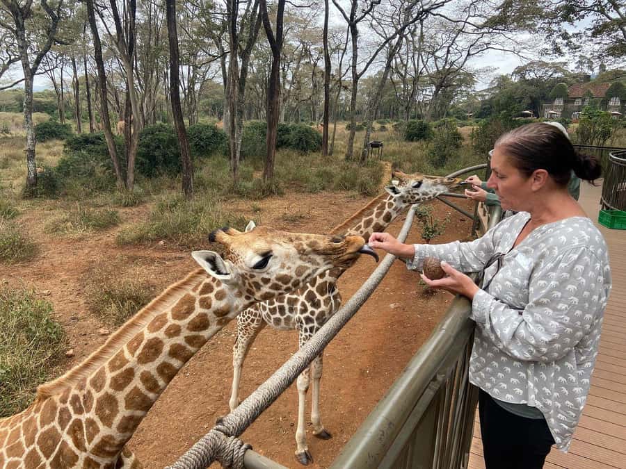Elephant Orphanage and Giraffe Center Tour with Options - Comfort tips that make the day easier