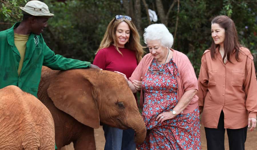 Elephant Orphanage,Giraffe Center&Karen Blixxen Day TripTour - Giraffe Center: feeding gentle giants in a semi-wild setting