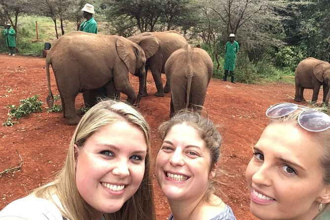 Elephant Orphanage, Giraffe Centre& optional Nairobi NationalPark - What I’d do on this itinerary if your goal is maximum animal time