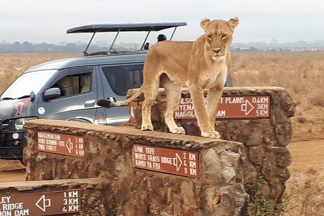 Elephant Orphanage & Giraffe Centre Tour - Who should book this tour, and who might choose differently