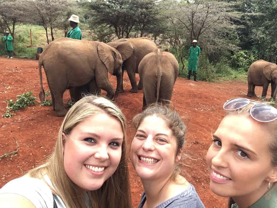 Elephant Orphanage Trust, Giraffes & Bomas of Kenya Day Tour - Who This Day Trip Suits Best