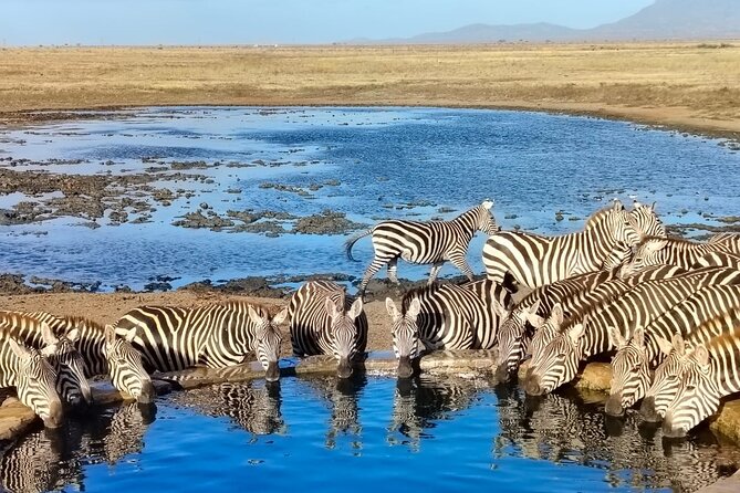 Elky Tours 2 Days Tsavo East Tour - Key things to know before you go