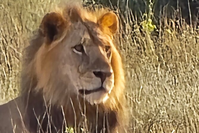 Elky Tours 2 Days Tsavo East Tour - Tsavo East from Diani Beach, why the Galana River and Yatta Plateau matter
