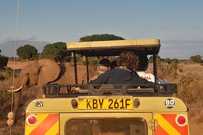 Elky Tours 2 Days Tsavo East Tour - The guide factor, why Mike’s approach can make or break the day
