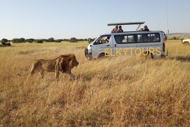 Elkydianibeachtaxis - Air-conditioned comfort, plus the safety part you feel immediately